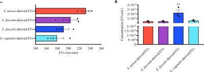 Extracellular Vesicles Generated by Gram-Positive Bacteria Protect Human Tissues Ex Vivo From HIV-1 Infection